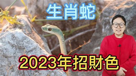 屬蛇幸運顏色2023